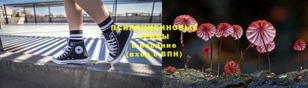 а пвп мука Алзамай
