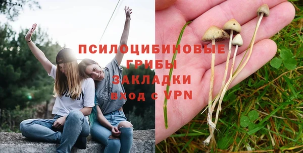 а пвп мука Алексеевка